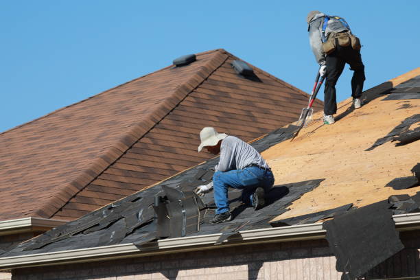 Waterproofing in Ocean View, DE